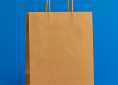 BOLSA CI #8-3 ASA CORDON KRAFT COMPOSTABLE